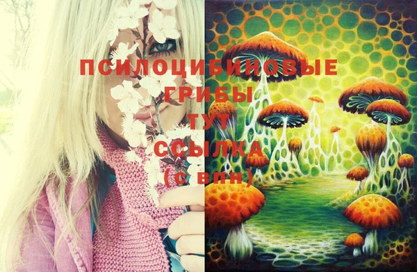 соль курить ск Горняк
