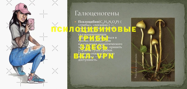 синтетический гашиш Горно-Алтайск