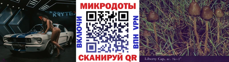 Галлюциногенные грибы MAGIC MUSHROOMS наркота Ростов-на-Дону